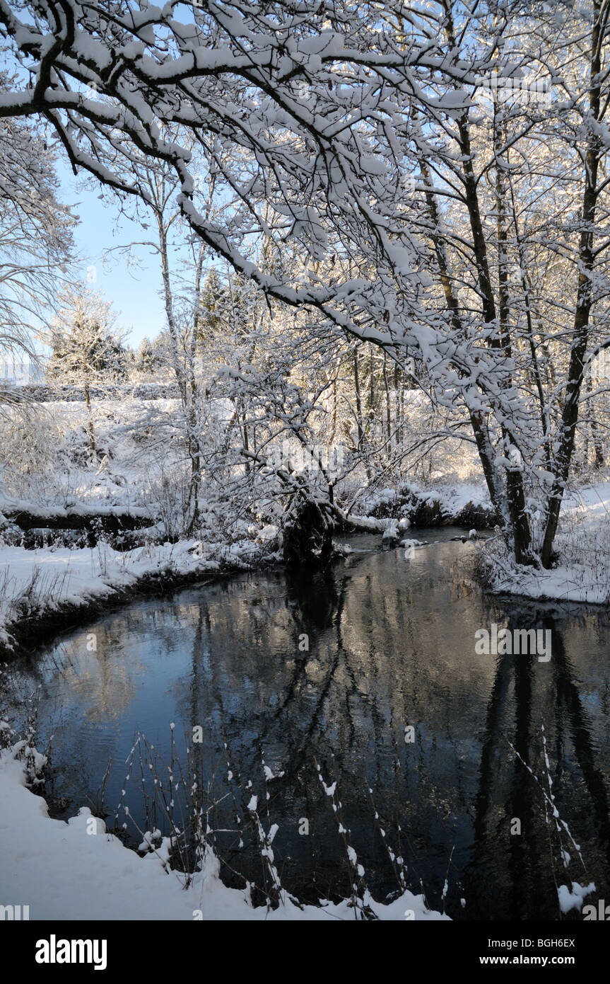 pretty snow scene-portrait Stock Photo - Alamy