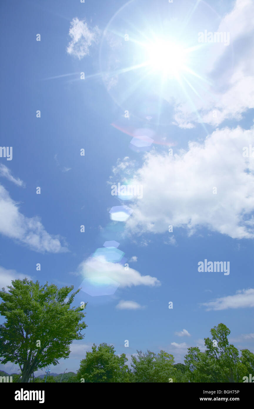 Clouds in blue sky above treetops Stock Photo - Alamy