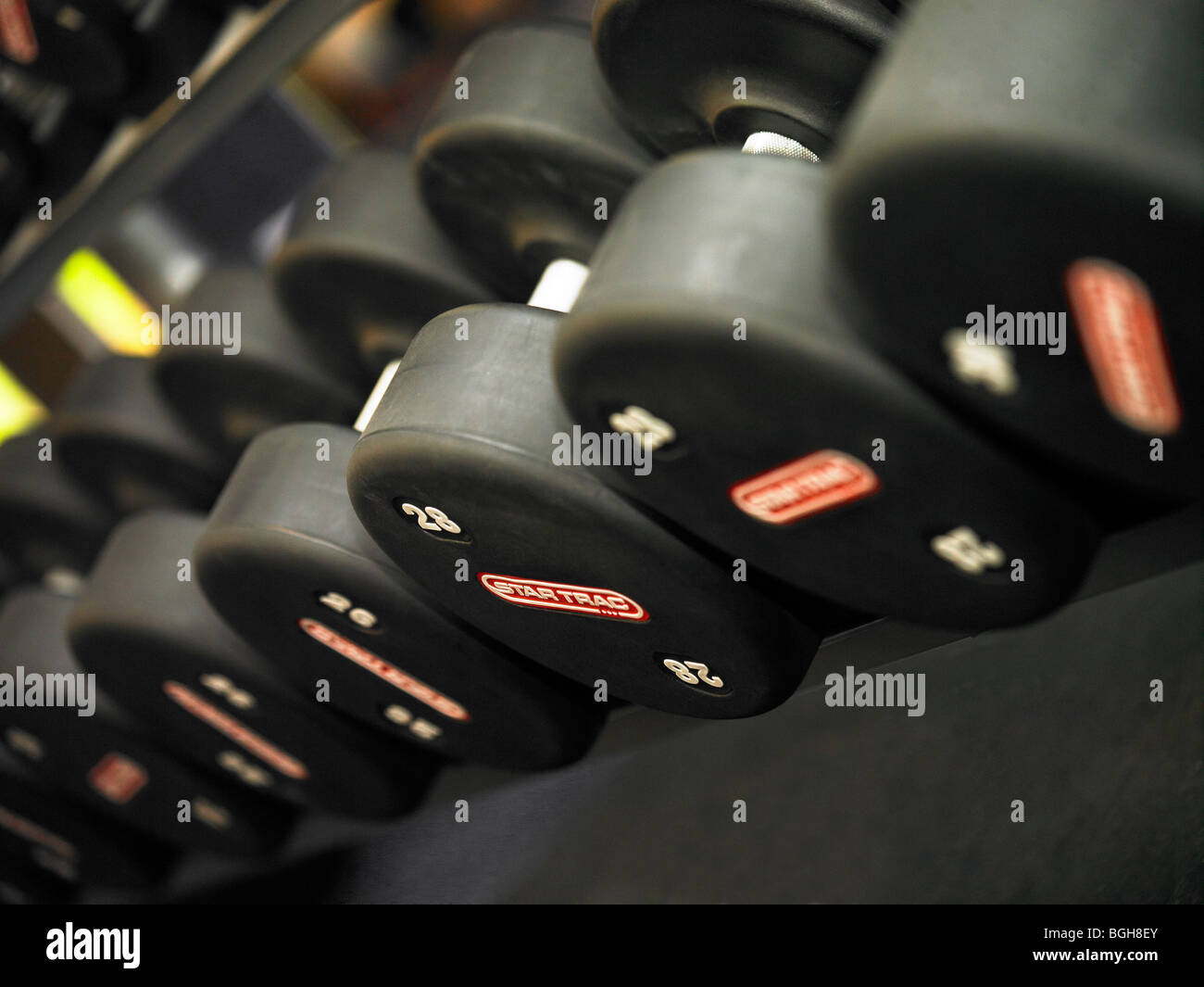 Dumbbells on a rack Stock Photo - Alamy