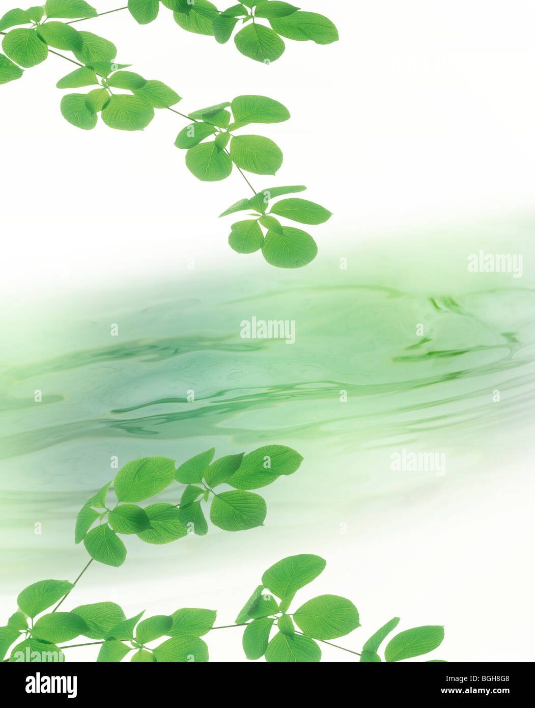 Hanging over water hi-res stock photography and images - Alamy