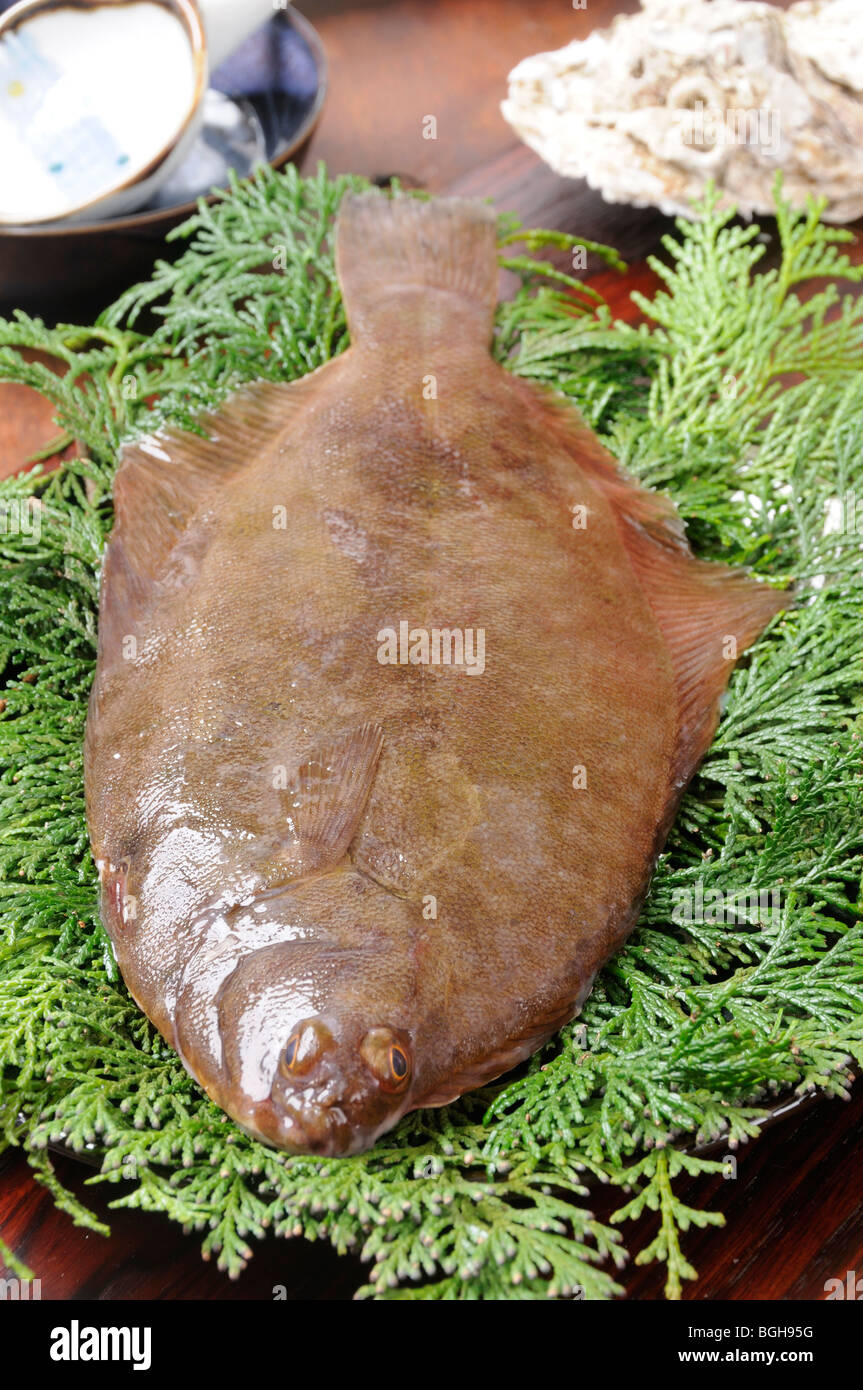 Flounder on bed of leaves Stock Photo