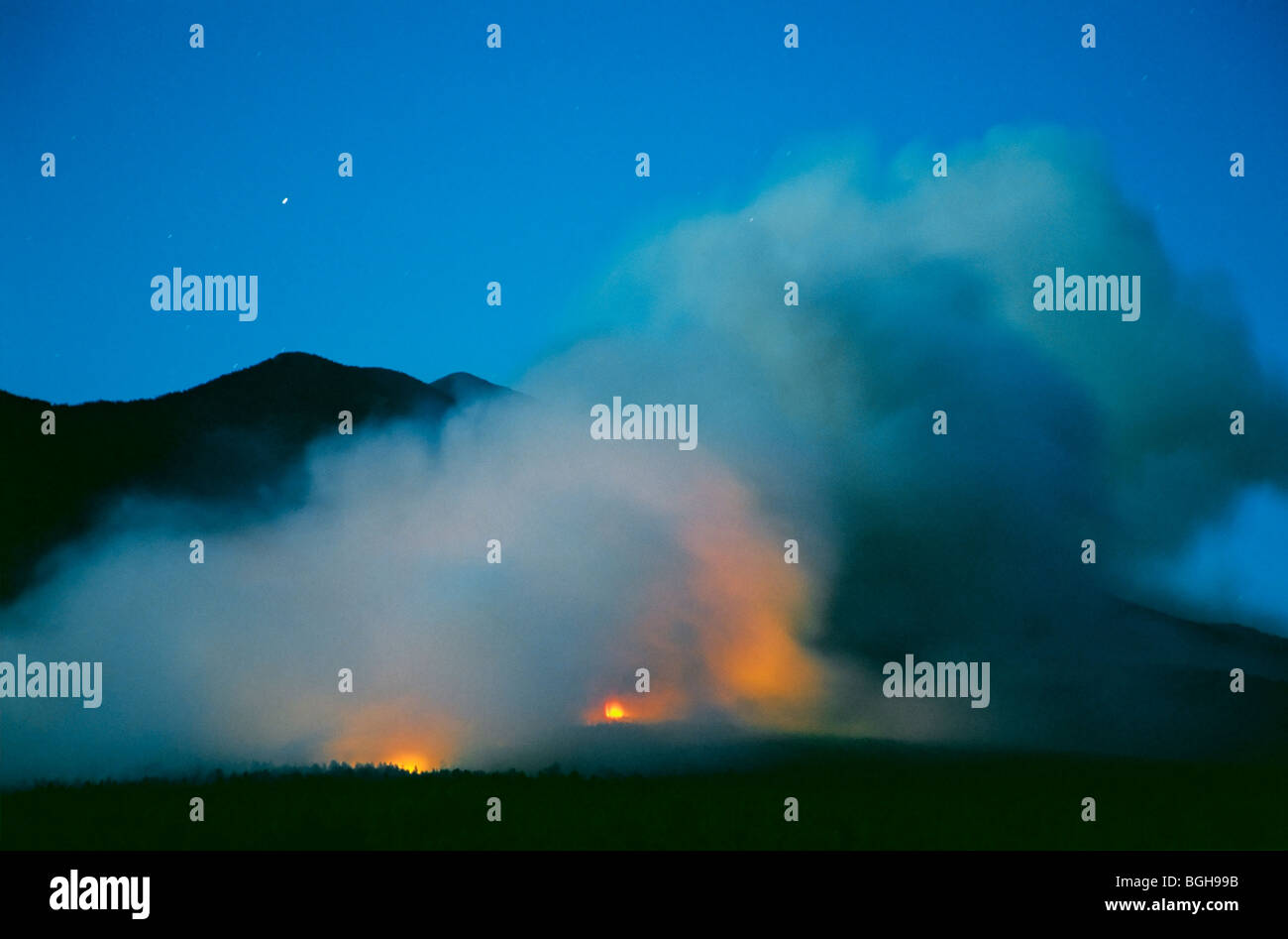 Forest fire, burning at night, 6/11/01 on the San Francisco Peaks, Coconino National Forest, Flagstaff, Arizona, USA Stock Photo