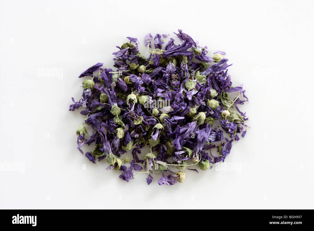 Lily dried tea drink hires stock photography and images Alamy