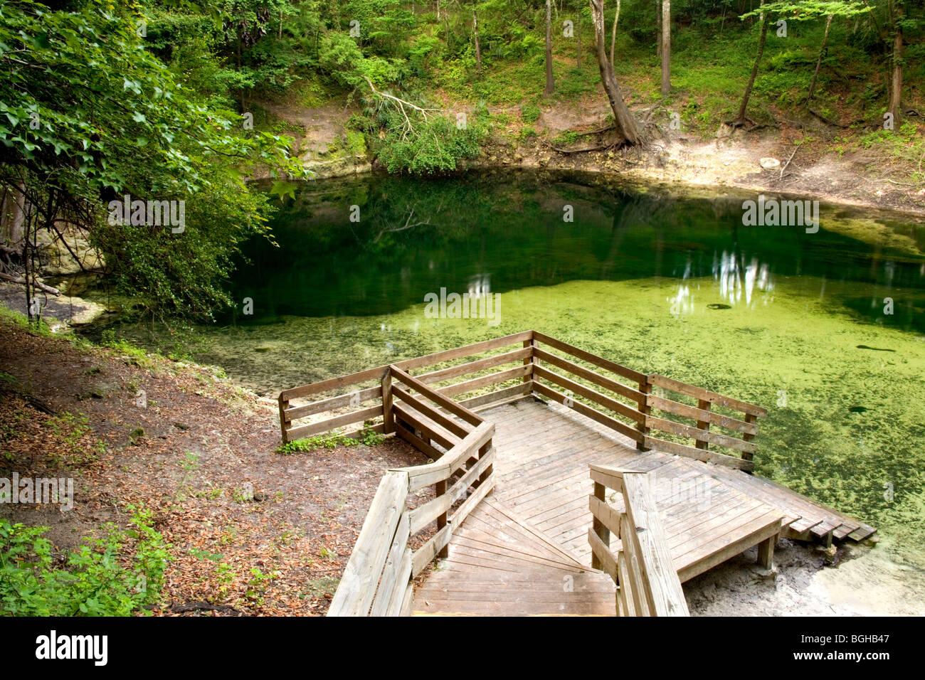 Falmouth Spring, karst window,  Florida Stock Photo