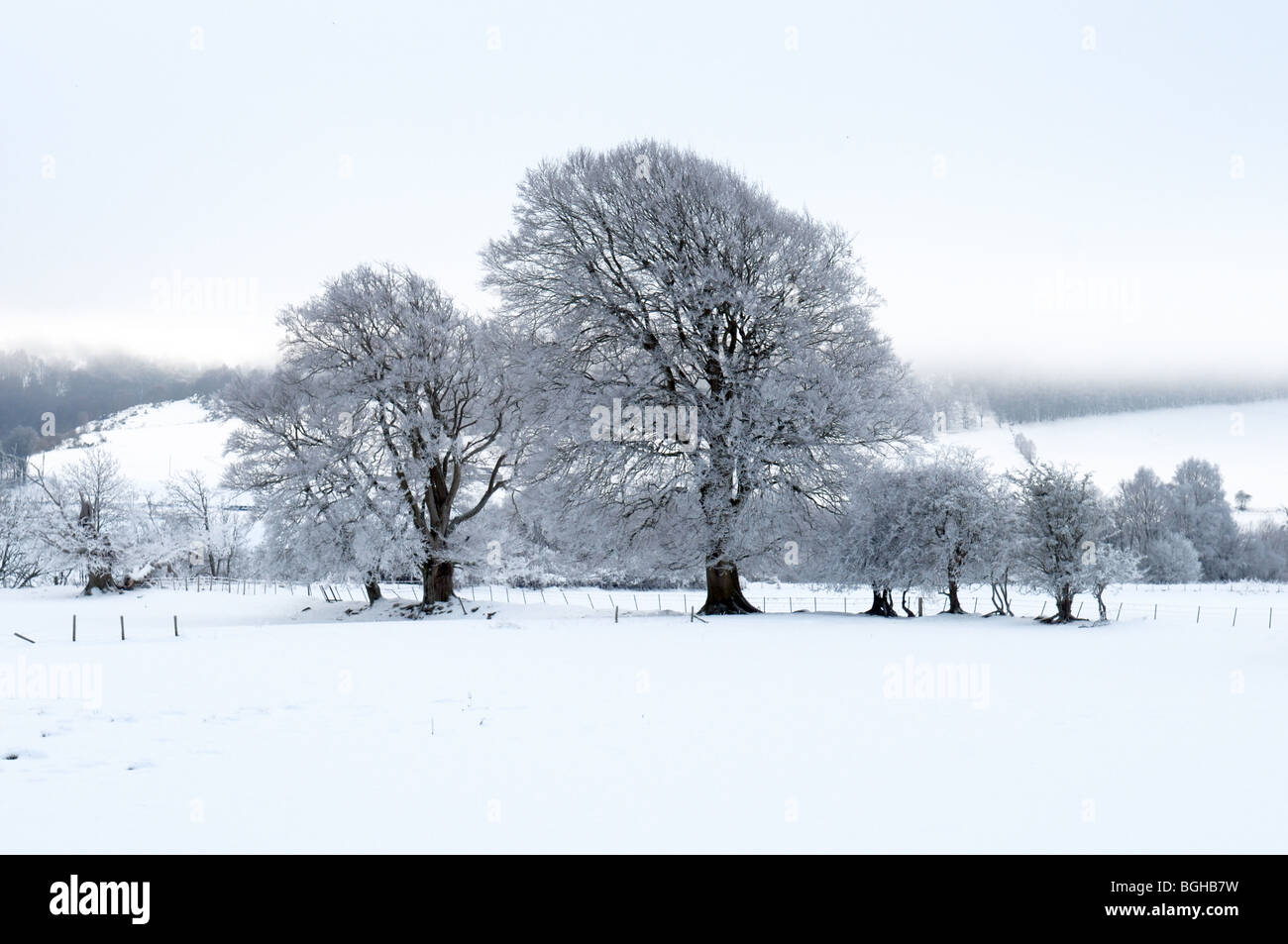 A snowy landscape scene in Perthshire, Scotland Stock Photo