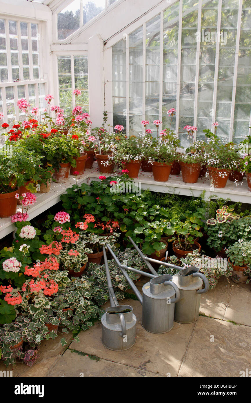 Victorian greenhouse hi-res stock photography and images - Alamy