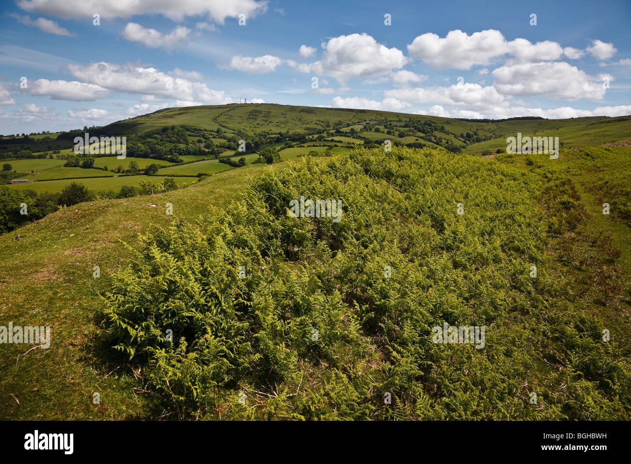 View from Nordy Bank Hill Fort to Abdon Burf, Brown Clee Hill, Shropshire Stock Photo