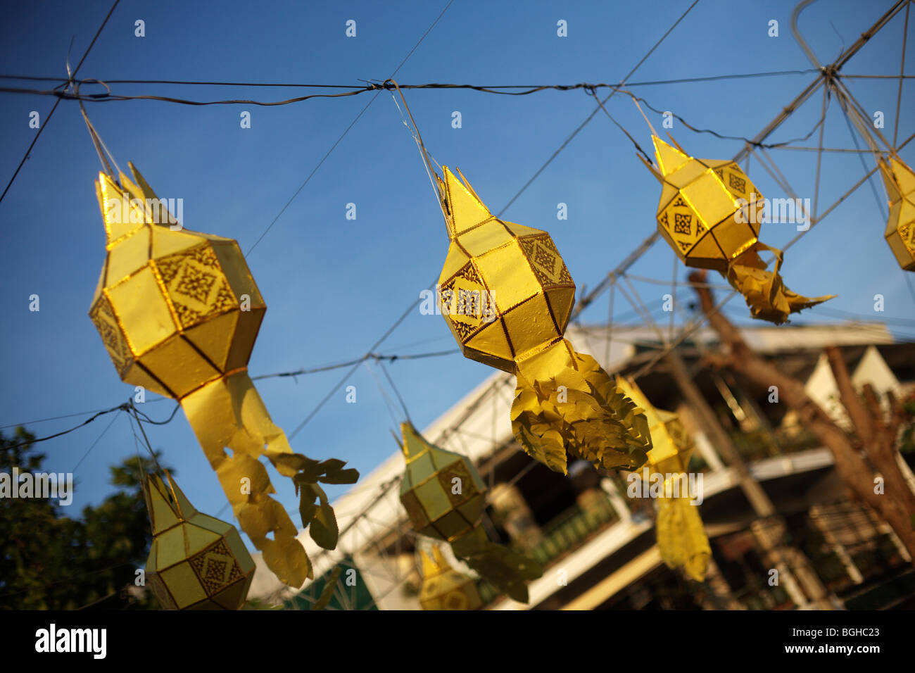 Paper lanterns hanging in the street in Thailand Stock Photo Alamy