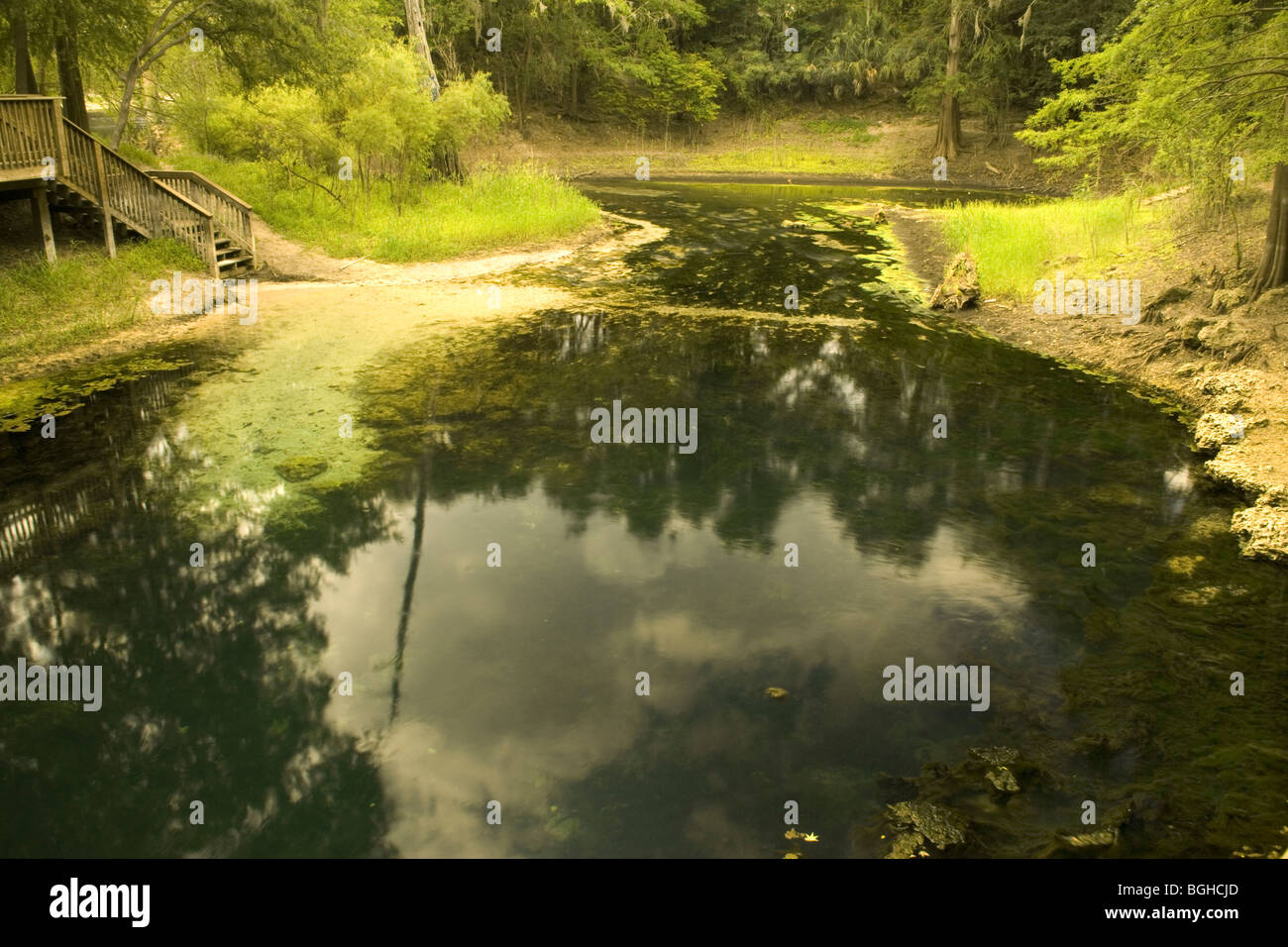 Falmouth Spring, karst window, Florida Stock Photo