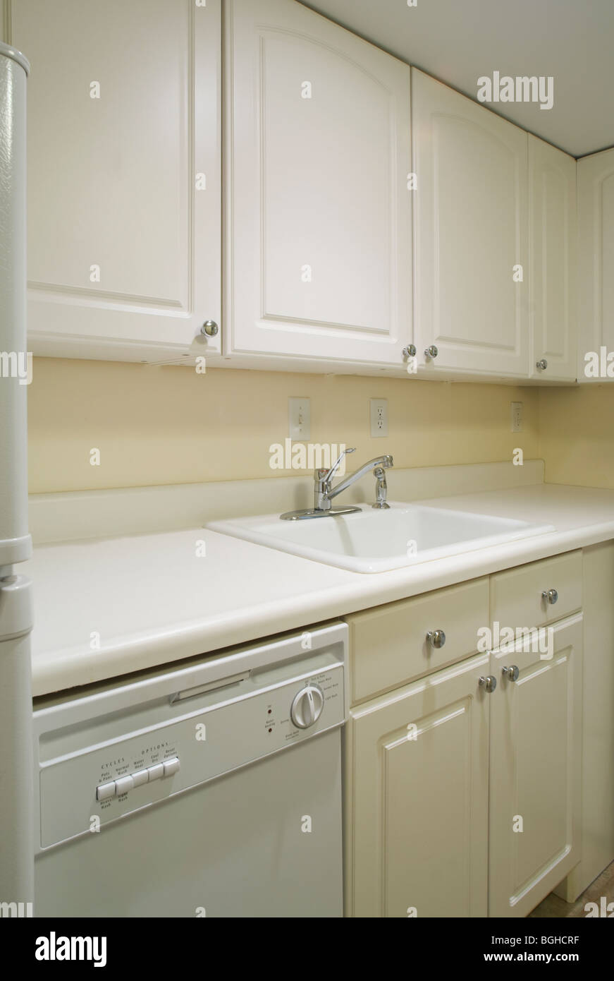 Dishwasher and sink in monochromatic kitchen Stock Photo Alamy