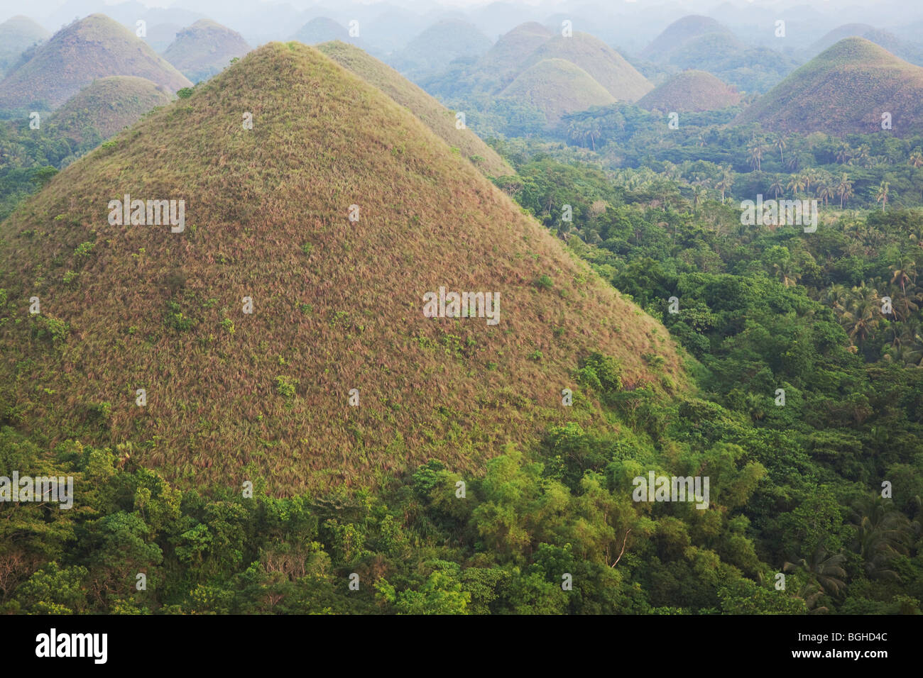 Chocolate Hills; Bohol; The Visayas; Philippines Stock Photo Alamy