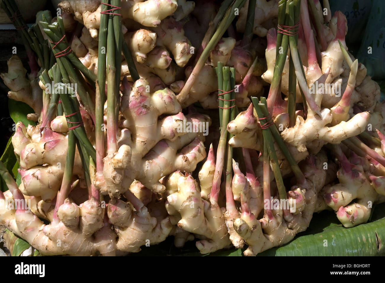 Fresh ginger for sale at a roadside market near Mae Sot, Thailand Stock Photo