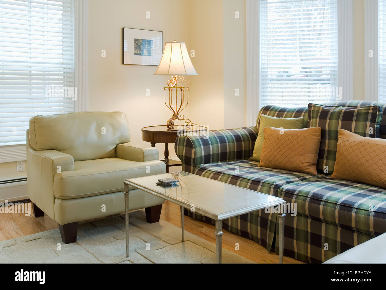 Living room with plaid sofa Stock Photo Alamy