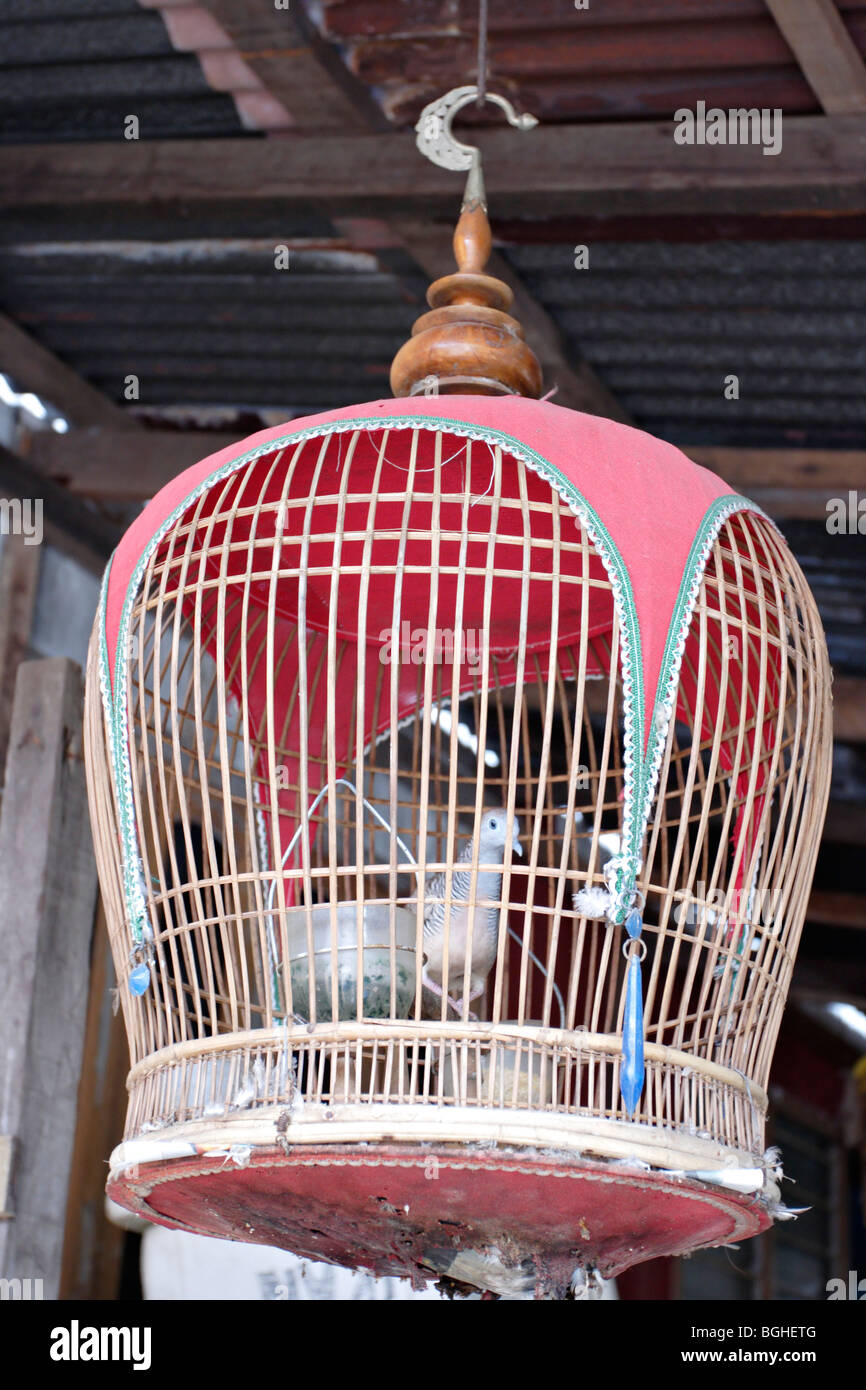 Traditional bird cage in Malaysia and Thailand Stock Photo - Alamy