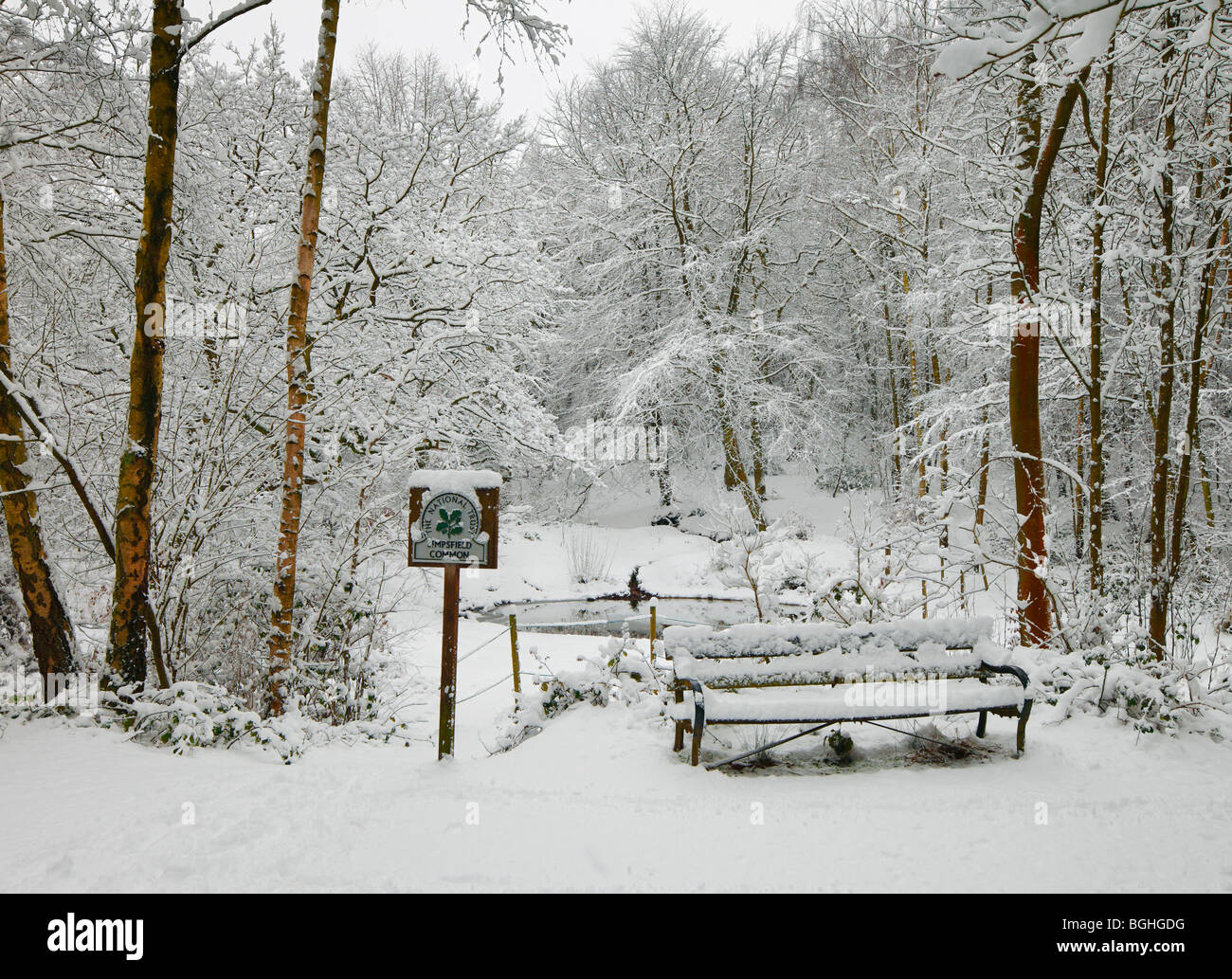 Snowy scene, Limpsfield Common. Stock Photo