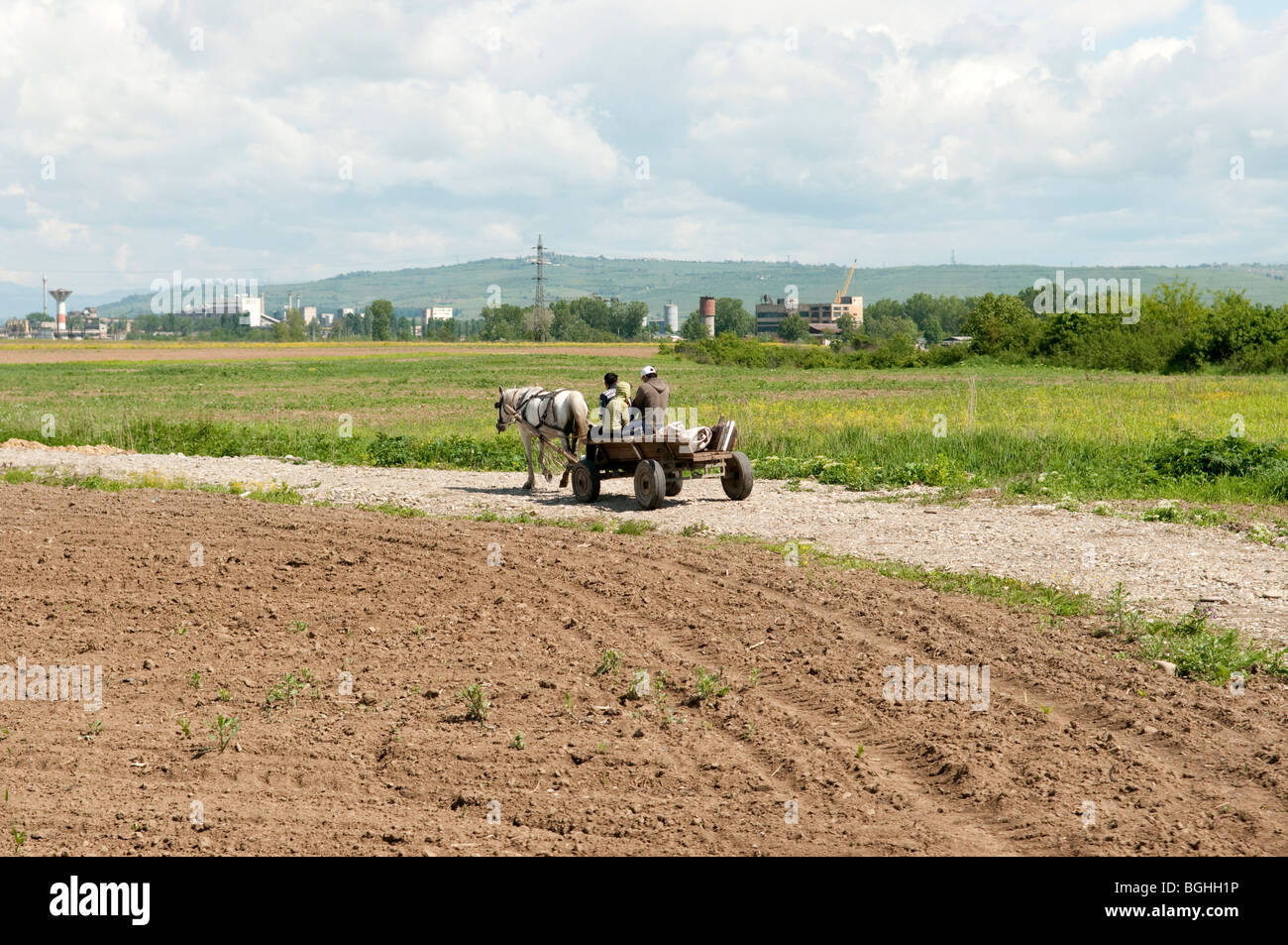 Roma Gypsys on horse and cart near Ploiesti Romania Eastern Europe Stock Photo