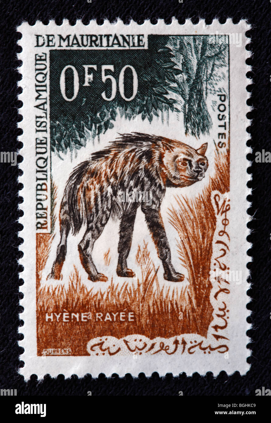 Striped Hyena (Hyaena hyaena), postage stamp, Republic Mauritanie