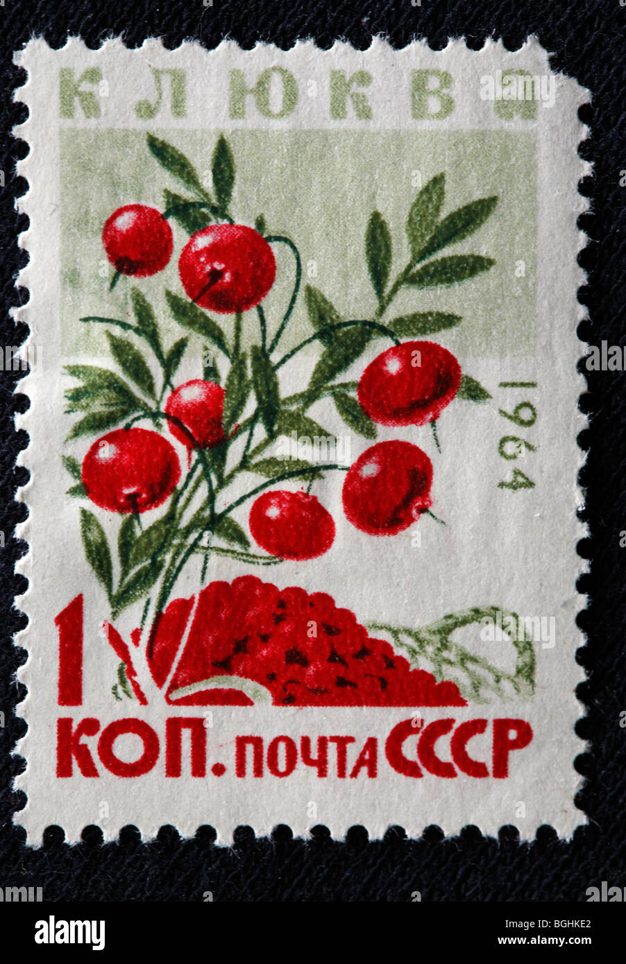 Cranberry, postage stamp, USSR, 1964 Stock Photo - Alamy
