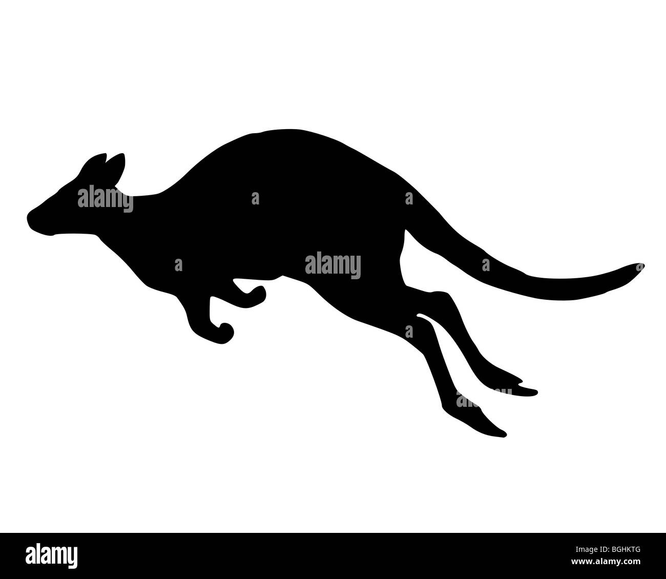 Detailed and isolated illustration of kangaroo jumping Stock Photo Alamy