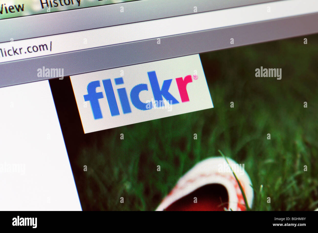 Flickr Photo Storage website Stock Photo