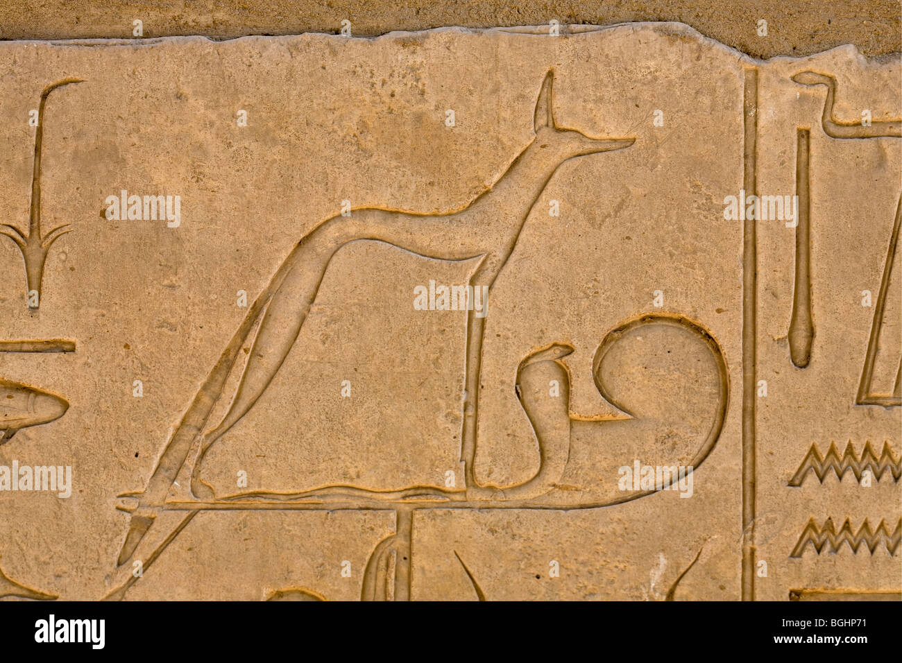 Close up of  carved relief of  Wepwawet standard on a block in the open-air Museum at Karnak Temple, Luxor Egypt Stock Photo