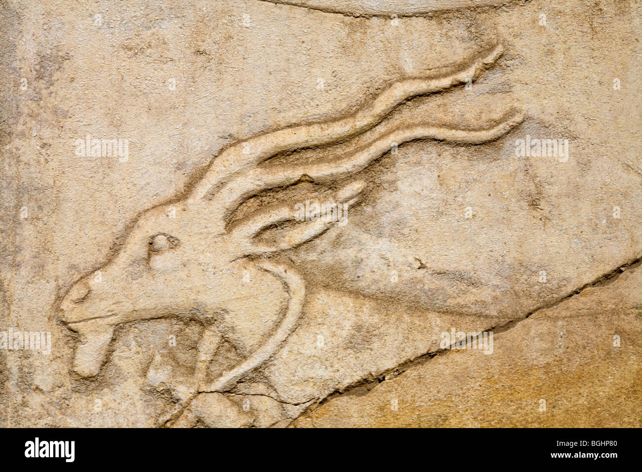 Close up of  carved relief of rams head on a block in the open-air Museum at Karnak Temple, Luxor Egypt Stock Photo