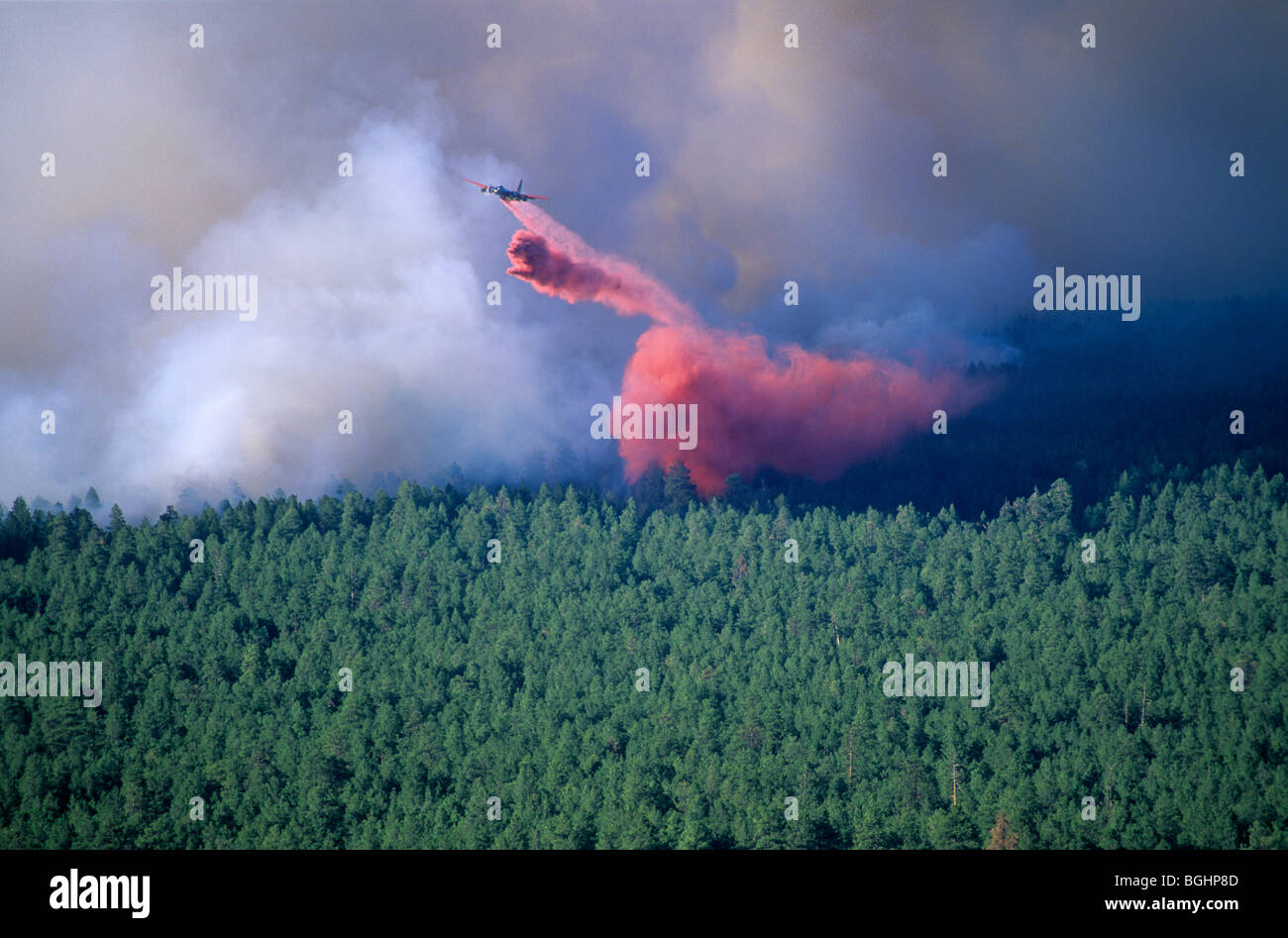 Air tanker plane drops slurry on forest fire, Leroux Fire, Coconino National Forest, near Flagstaff, Arizona Stock Photo