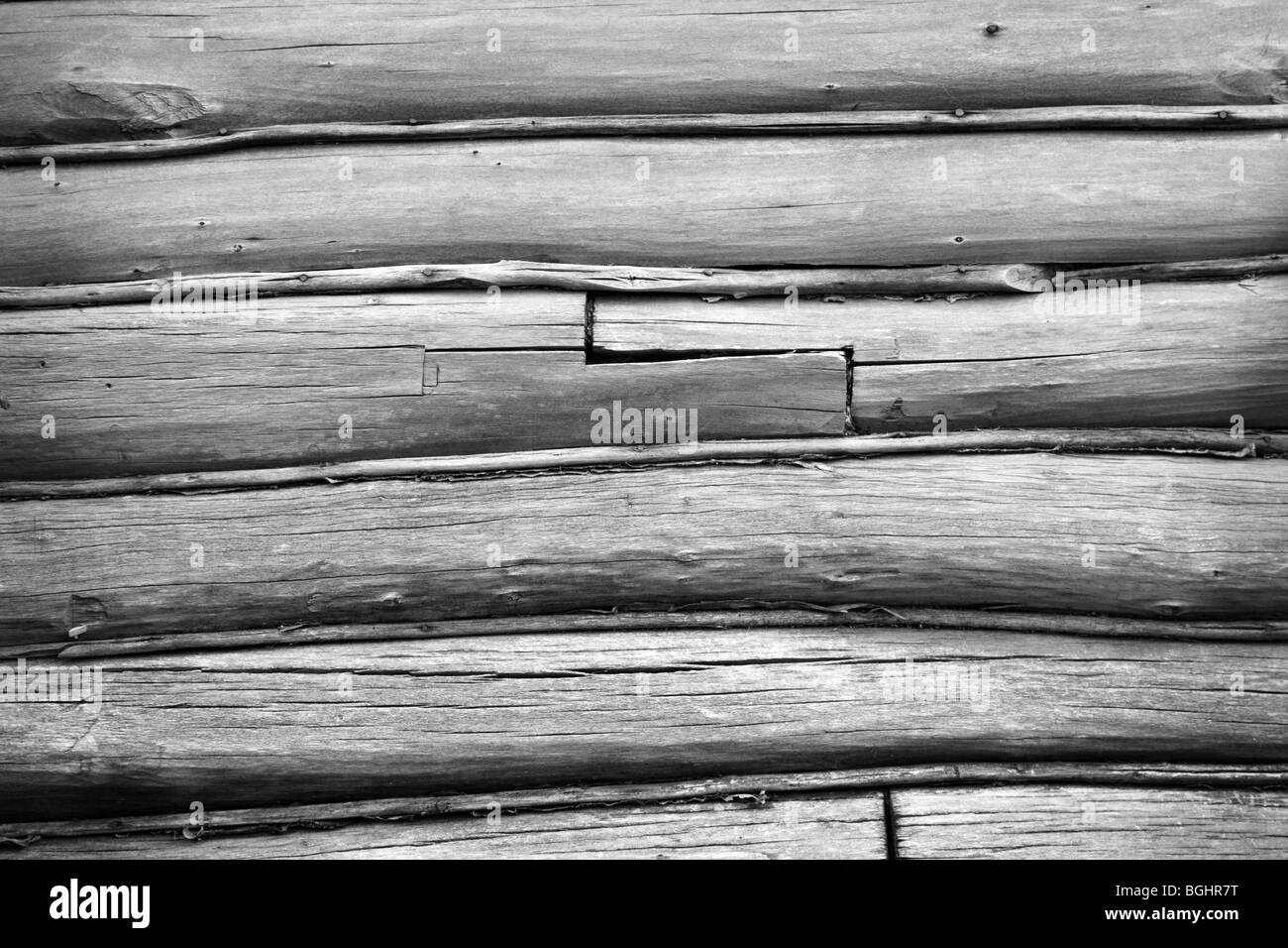 gray wooden weathered timbers in old felling Stock Photo