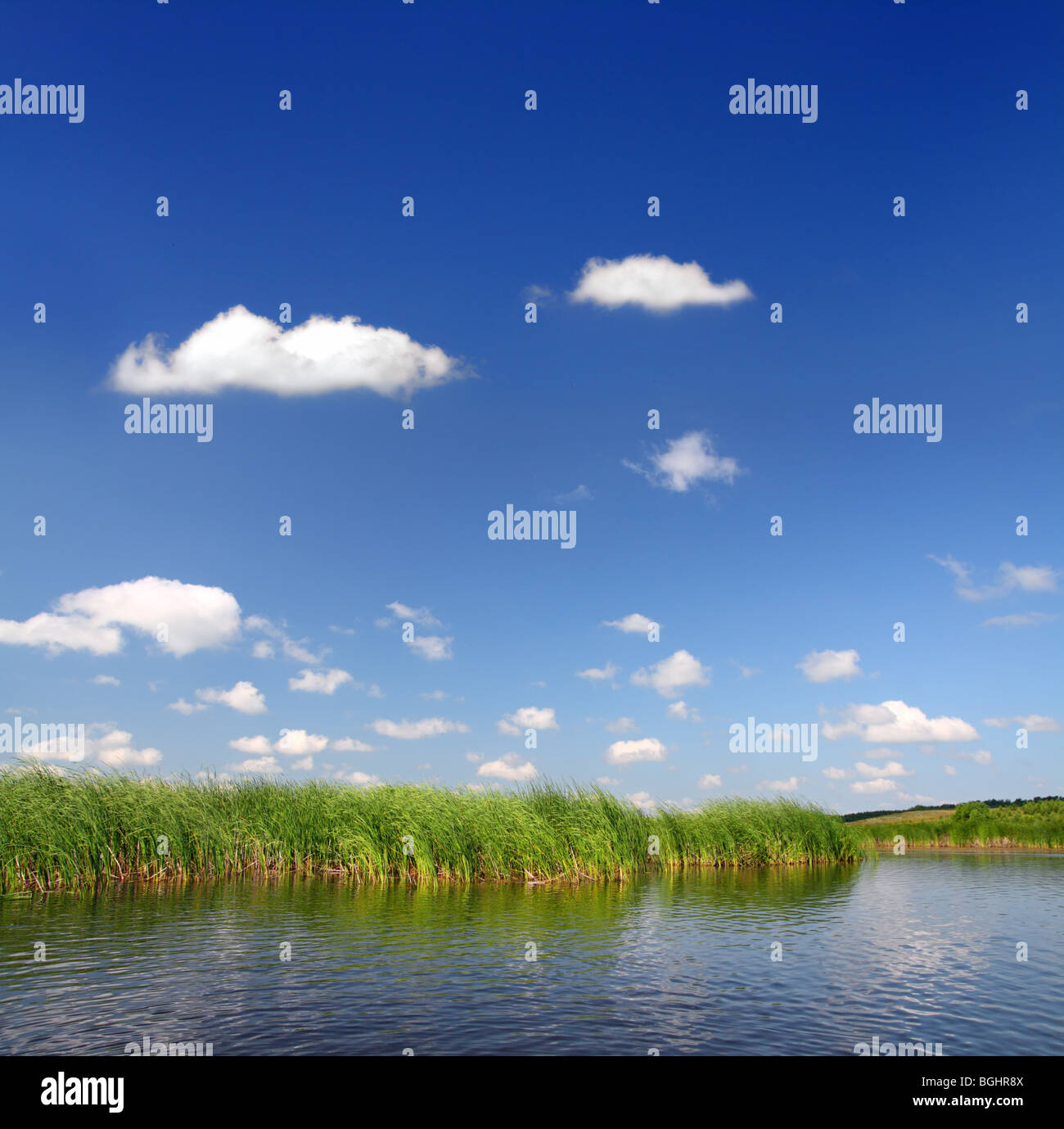 Blue sky with blue pond water hi-res stock photography and images - Alamy