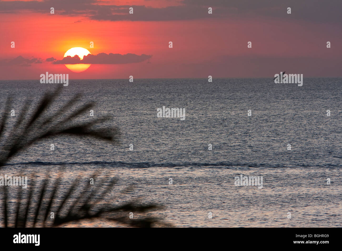 Zanzibar, Tanzania. Dhow at Sunset. Stock Photo