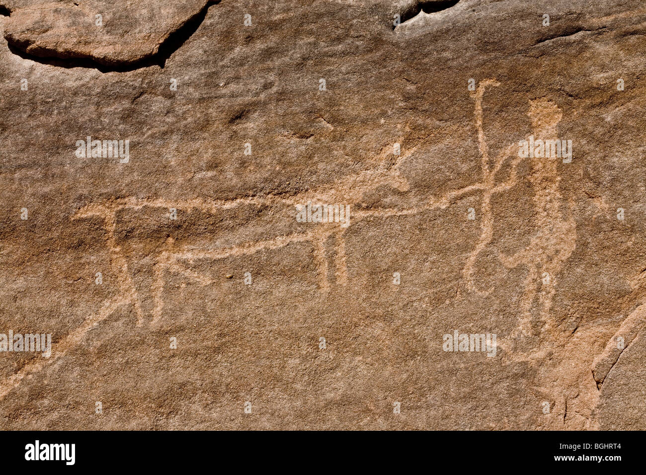 Close up of man with bow  tethering cow at Winklers famous Rock-Art site 26 in Wadi Abu Wasil in the Eastern Desert of Egypt. Stock Photo