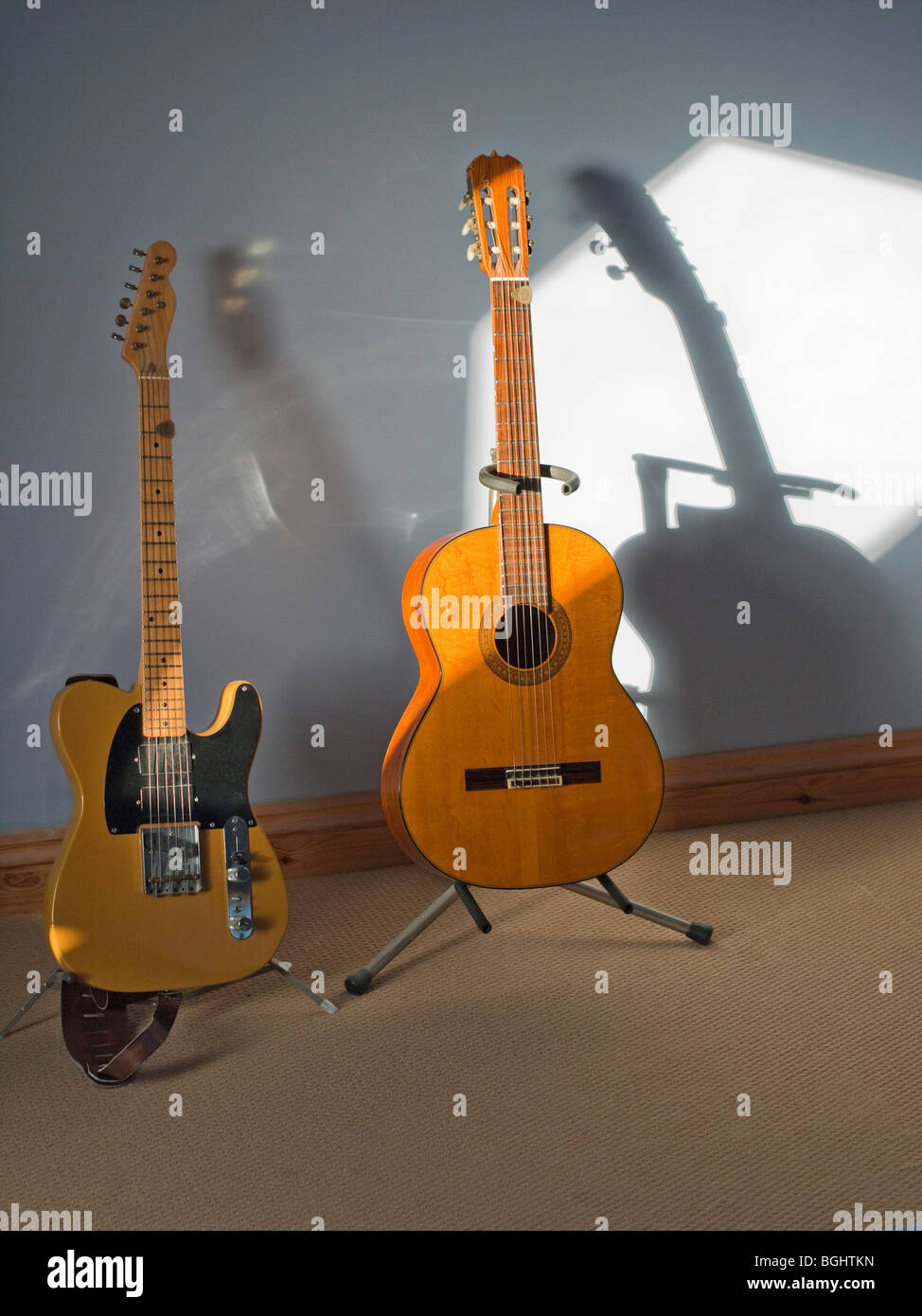 two guitars in sunlight and shadow one an electric telecaster the other