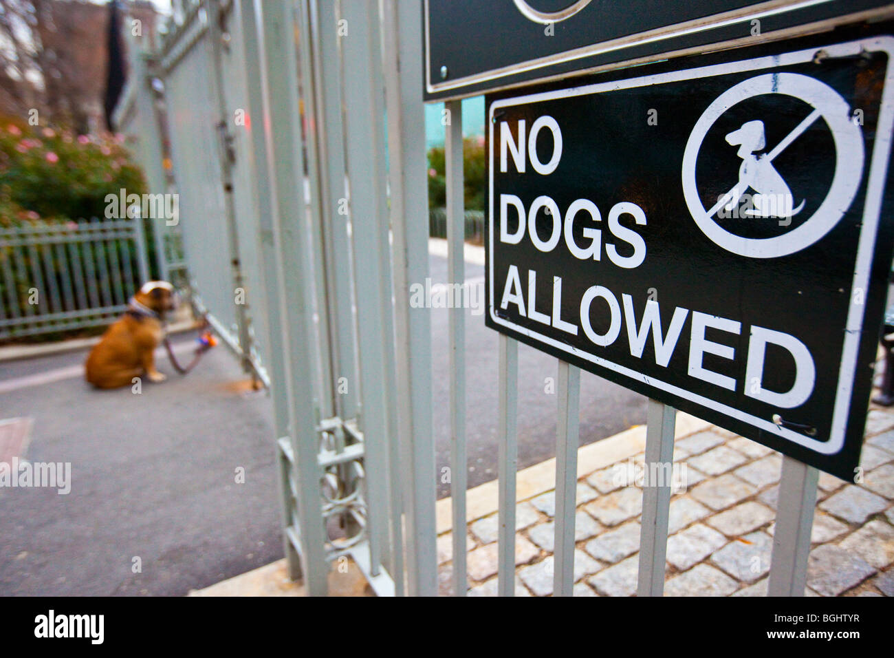No Dogs Allowed in a public park in Greenwich Village in New York City