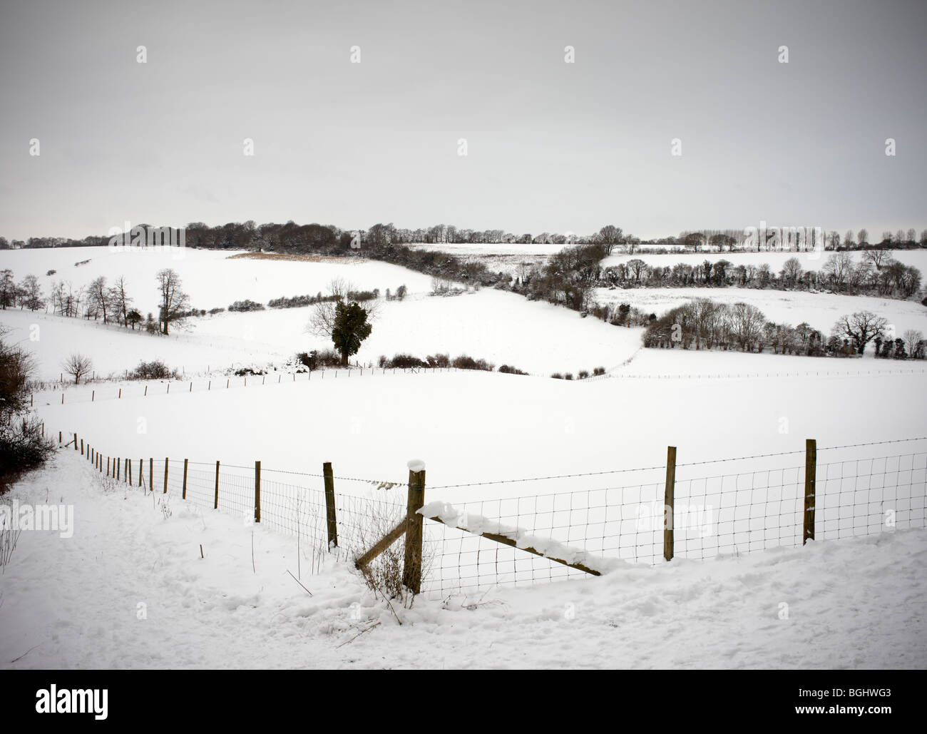 Snowy landscape, North Downs. Stock Photo