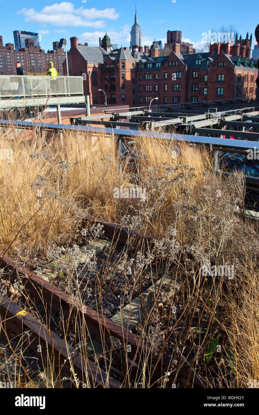 The High Line in Manhattan in New York City Stock Photo