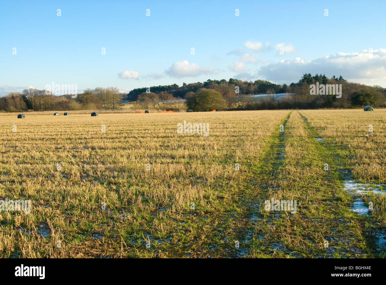 Landscape scene of a field with straw rolls and small amount of snow on the ground in Dockenfield, Hampshire Stock Photo