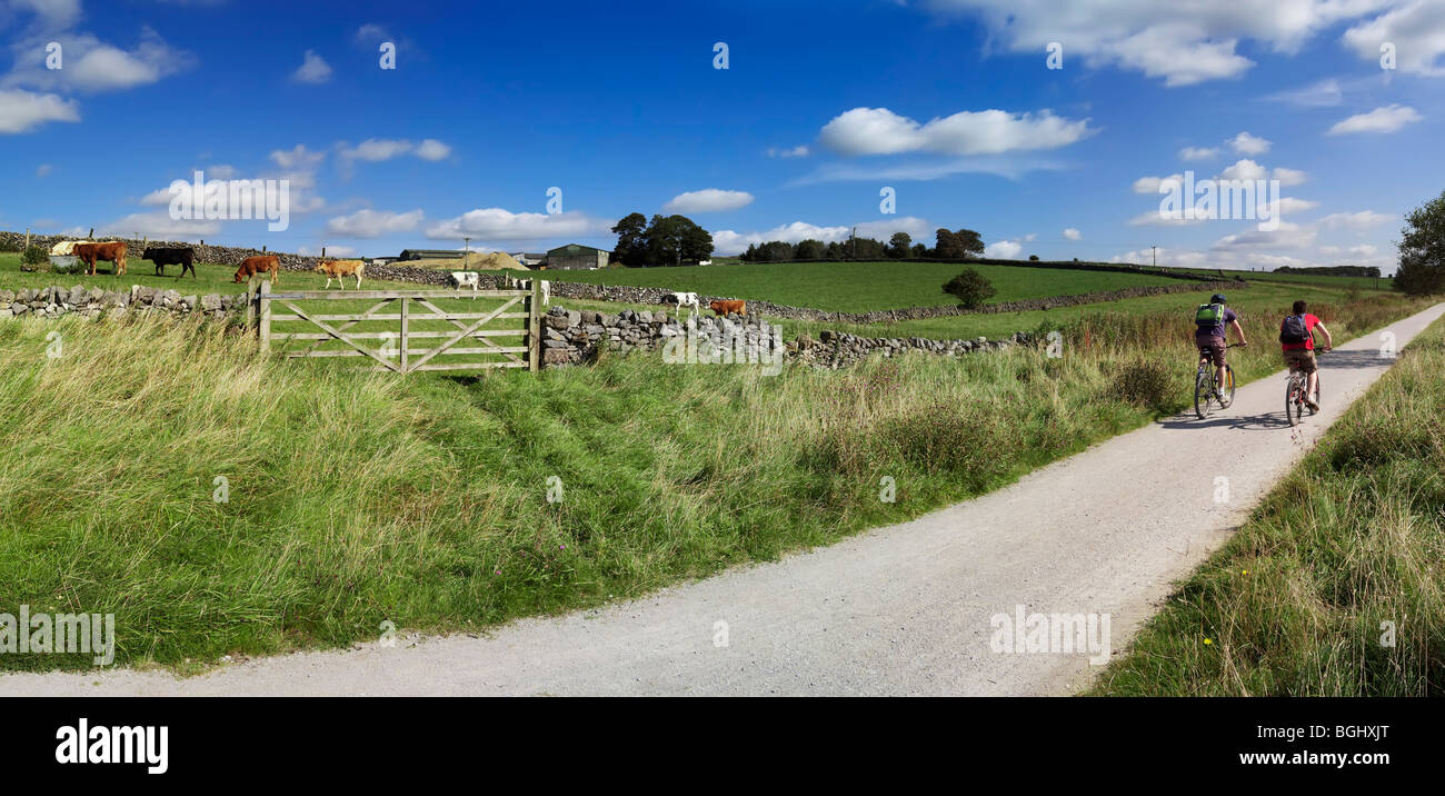 view from the high peak trail cycleway and footpath along disused railway line peak district national park derbyshire england uk Stock Photo