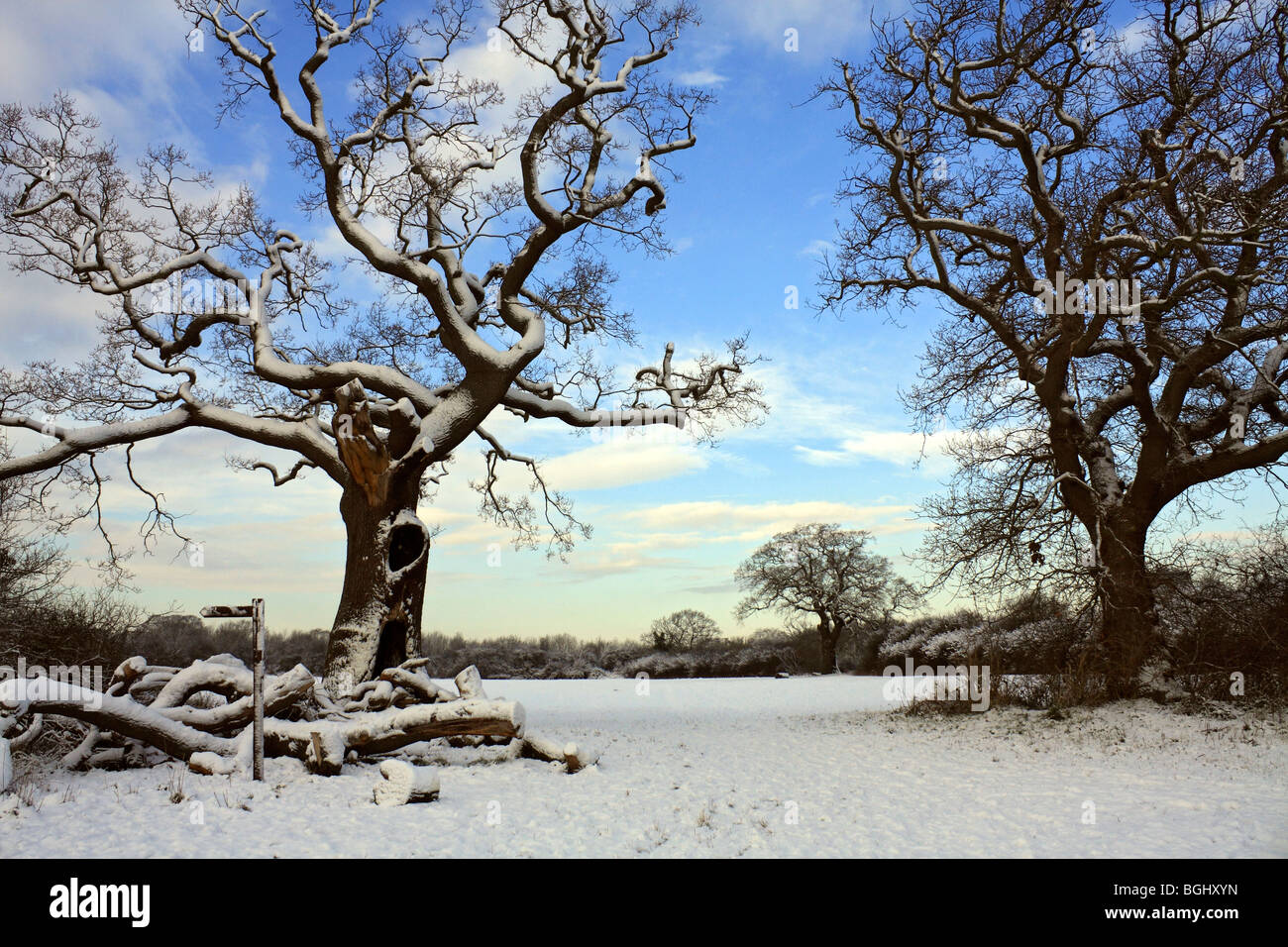 Winter snow at Tolworth Court Farm Nature Reserve, Kingston, Surrey, England, UK. January 2010 Stock Photo