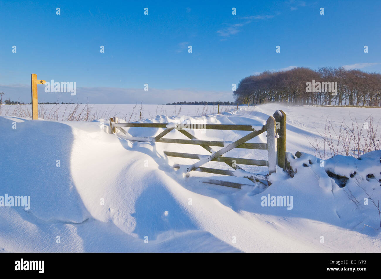 Drifting snow covering a gate, public footpath sign, walls and fields Derbyshire peak district England Stock Photo