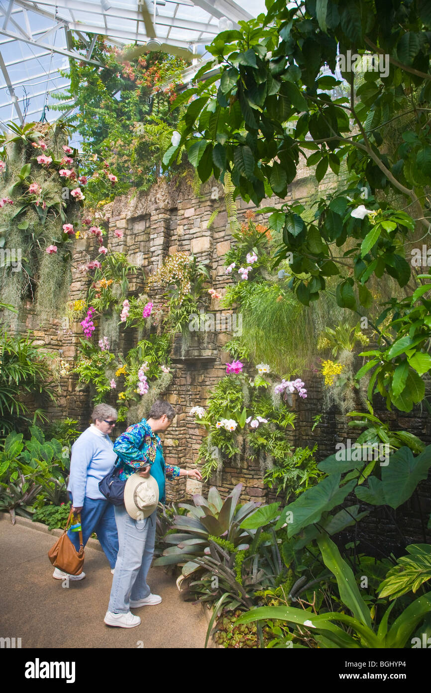 People In The Spring In Daniel Stowe Botanical Garden In Belmont