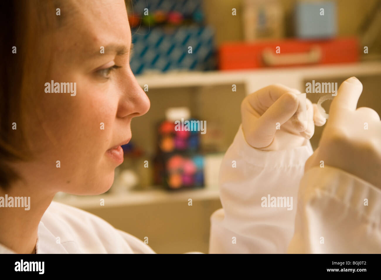 cancer researcher Hospital St. Louis, Paris, a public assistance
