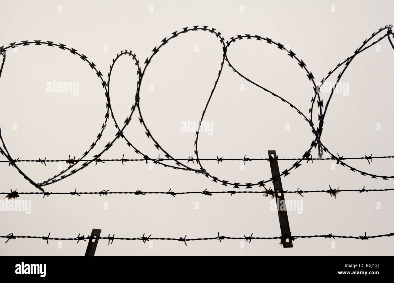 Barb wire Stock Photo