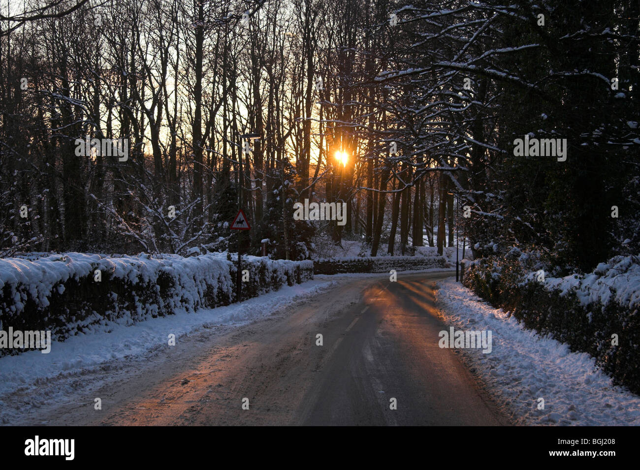 Snow covered wood at sunset, Lever Park, Rivington, Horwich, Greater ...