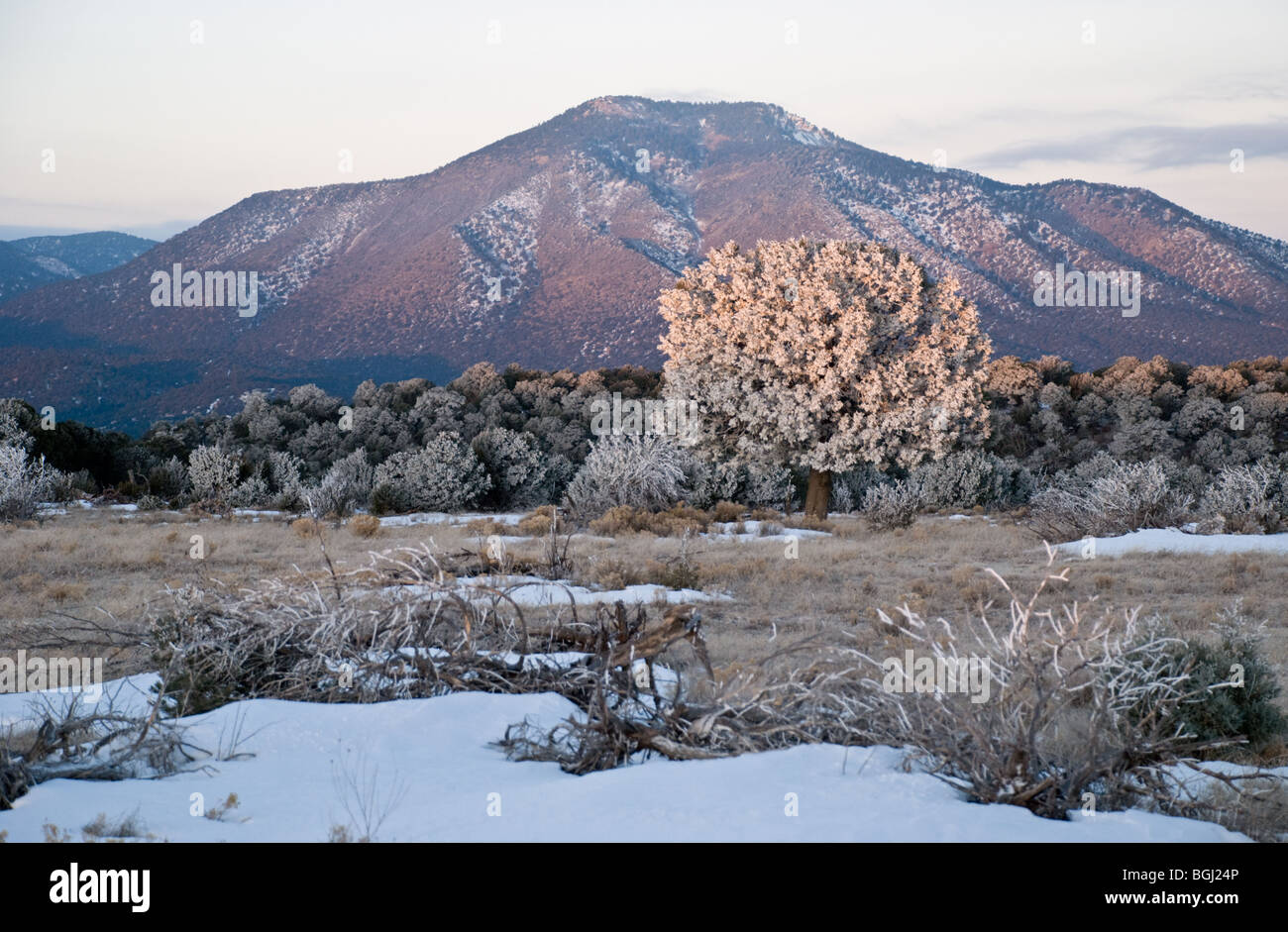 Church Mountain is the backdrop for the first rays of sun on a freezing cold morning in Lincoln County, New Mexico. Stock Photo