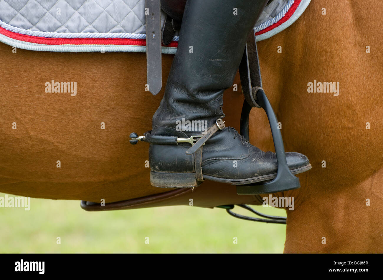 Horse saddle stirrup High Resolution Stock Photography and Images Alamy