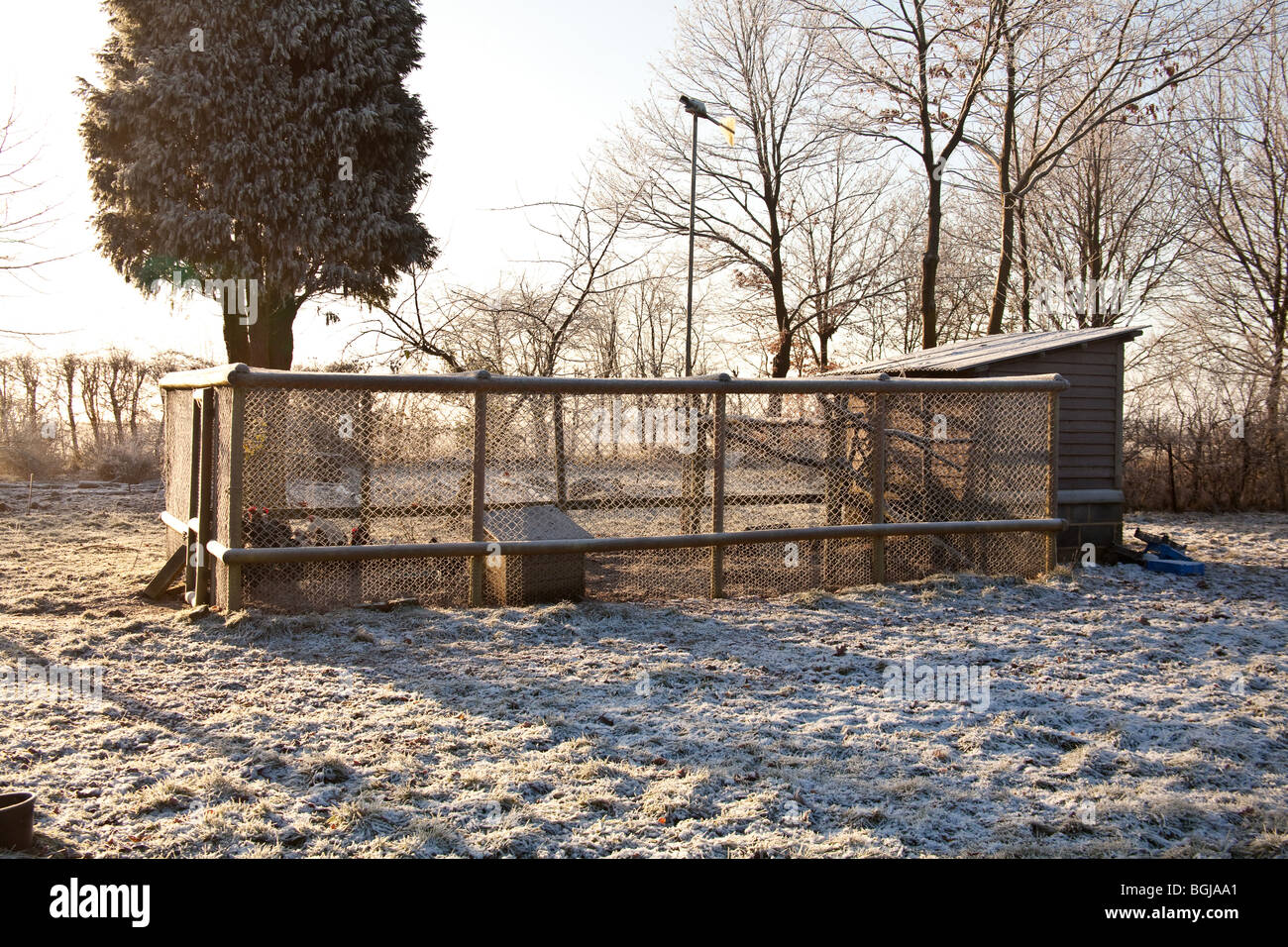 Chicken coup or hutch, covered in frost, Hampshire, England. Stock Photo
