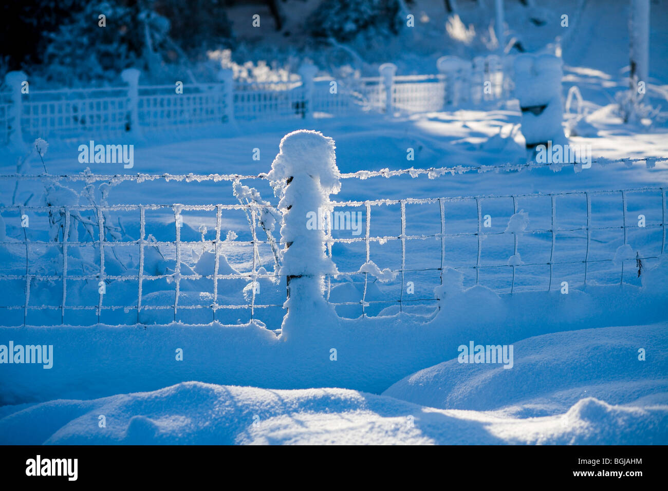 frozen fence in a field covered in snow with sun light highlighting the ...