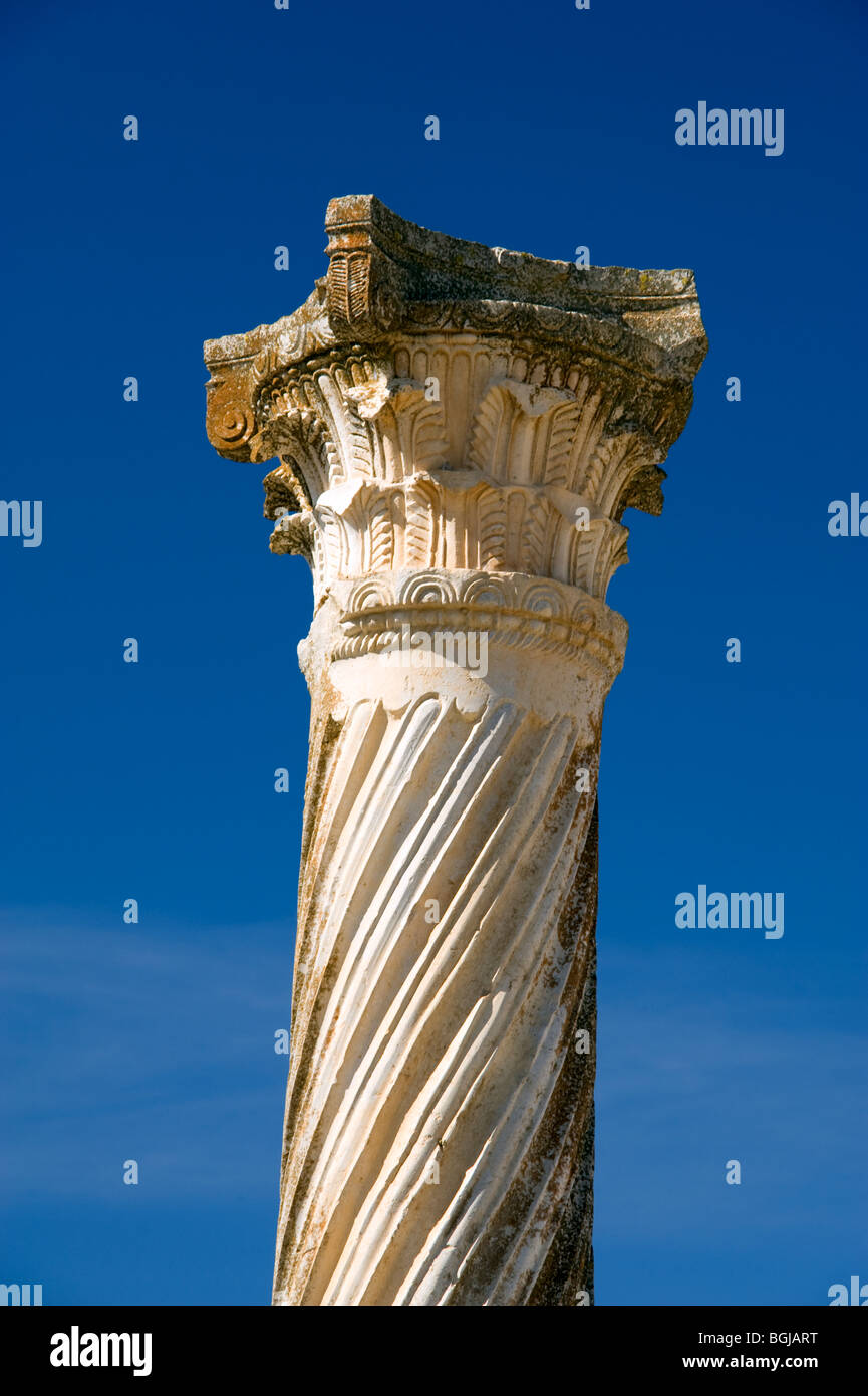 Croithian Column A Corinthian column at Volubilis Stock Photo - Alamy