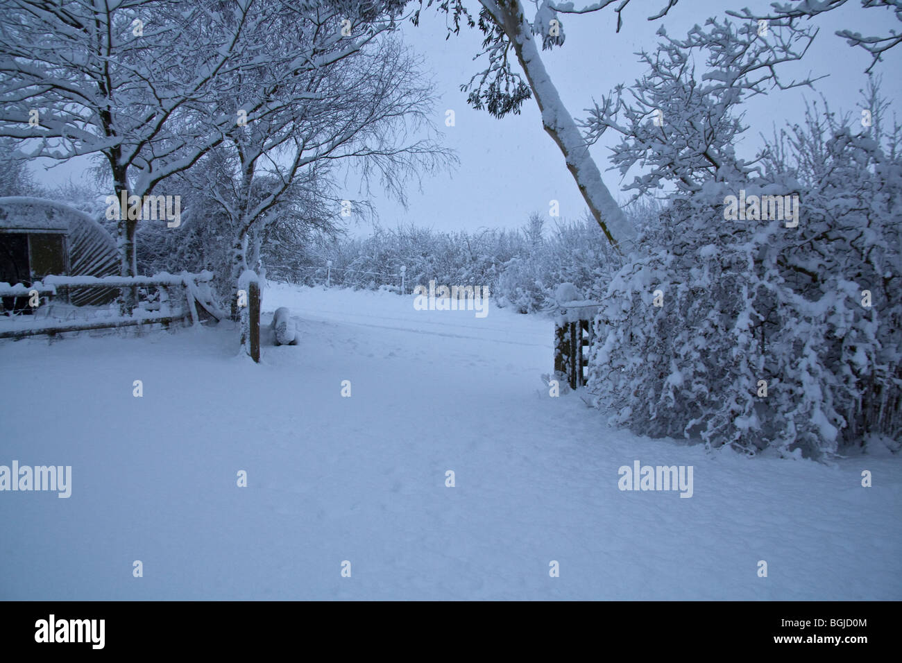 Garden covered in snow , Hampshire England Stock Photo Alamy