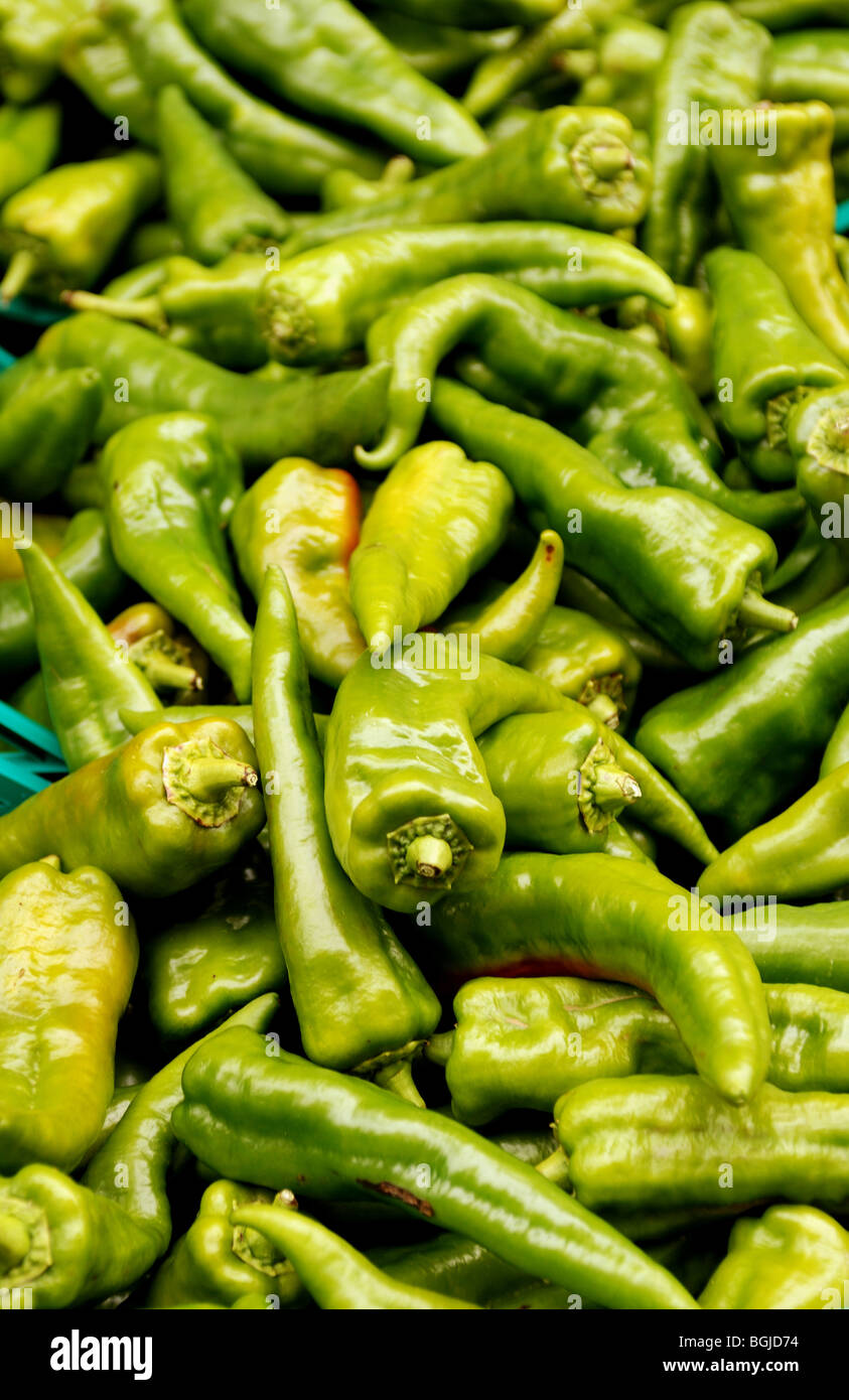 Green chilli hires stock photography and images Alamy